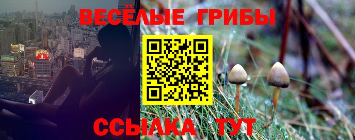 Псилоцибиновые грибы прущие грибы Саянск